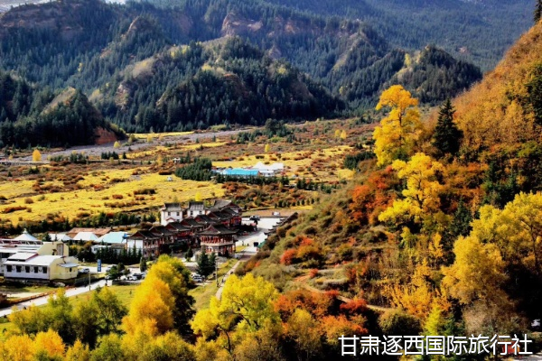 想找會(huì)講敦煌歷史的專業(yè)講解，莫高窟和陽(yáng)關(guān)能安排深度講解嗎？