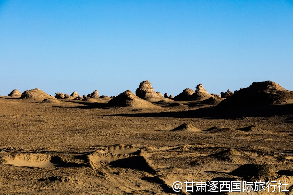 張掖有沒有農莊能采摘水果和體驗農家樂的一日游