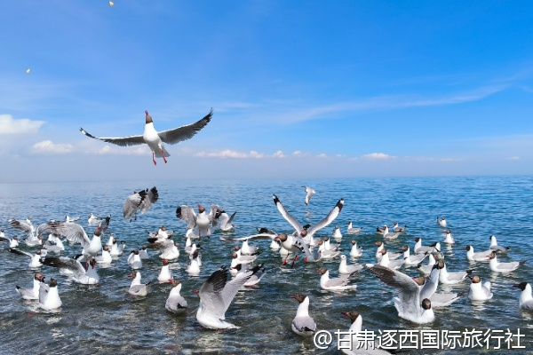 嘉峪關方特和關城適合兩天一夜游玩嗎？