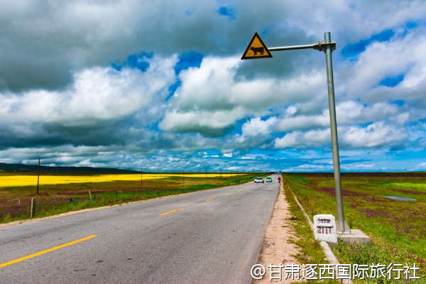 蘭州到甘南的班車要在哪里坐？車程多久