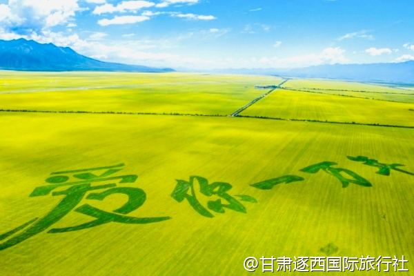 嘉峪關烤肉是用什么肉做的