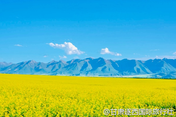 張掖七彩丹霞景區里廁所多嗎