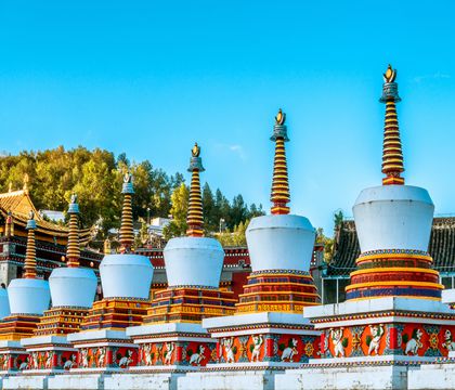 塔爾寺+西寧新千觀光夜市一日游【攜程自營 一單一團 接飛機+酒店接送 行中管家貼心服務 純玩】線路推薦