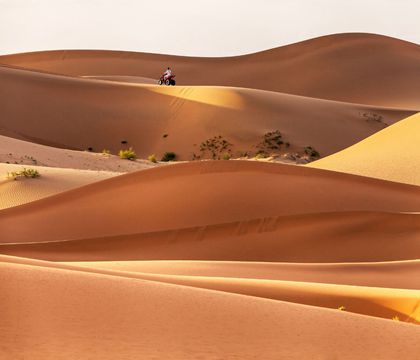 銀川+中衛(wèi)6日5晚私家團(tuán)