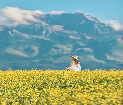 西寧+塔爾寺+青海湖+茶卡鹽湖+大冬樹山埡口+祁連大草原+卓爾山3日2晚跟團(tuán)游