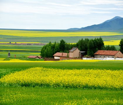 青海西寧+茶卡鹽湖+青海湖+祁連大草原5日4晚私家團