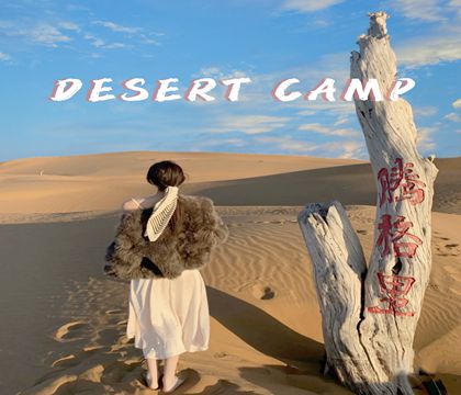 銀川+中衛2日1晚跟團游