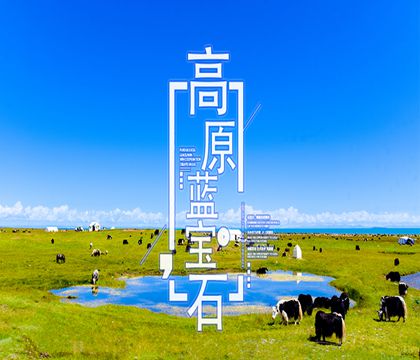 青海西寧+茶卡鹽湖+青海湖+青海湖環湖西路4日3晚跟團游