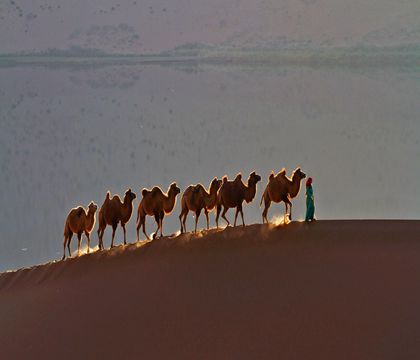 銀川+中衛(wèi)5日4晚私家團(tuán)