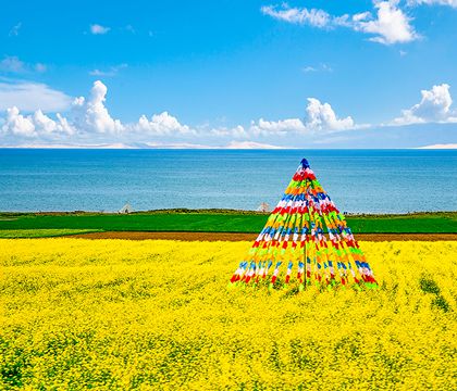 青海4日3晚私家團