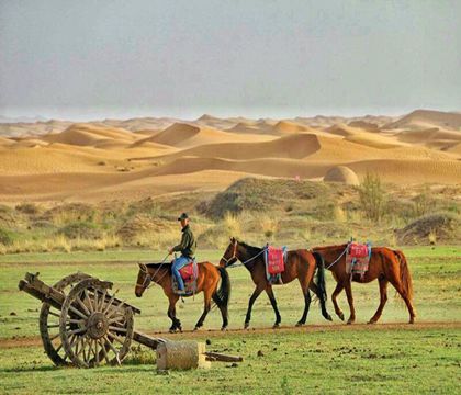 寧夏銀川+中衛(wèi)4日3晚跟團(tuán)游