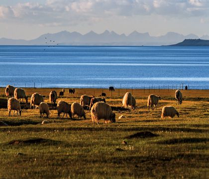 青海青海湖+茶卡鹽湖+塔爾寺4日3晚跟團游