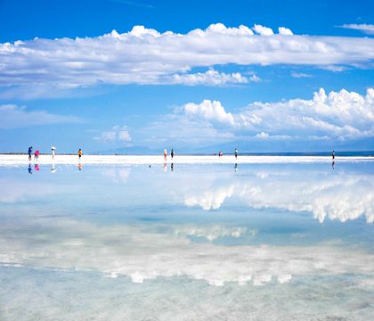 青海西寧+青海湖+茶卡壹號·鹽湖景區2日1晚跟團游