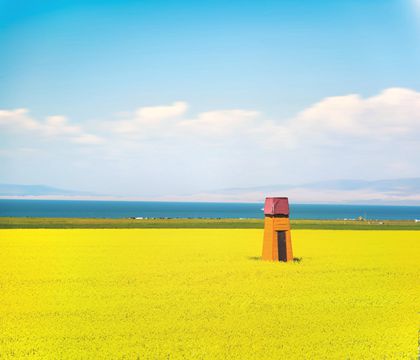 西寧+青海湖一日游【+茶卡鹽湖+ 橡皮山上門接送/2-6人精品小團/純玩無購物】線路推薦