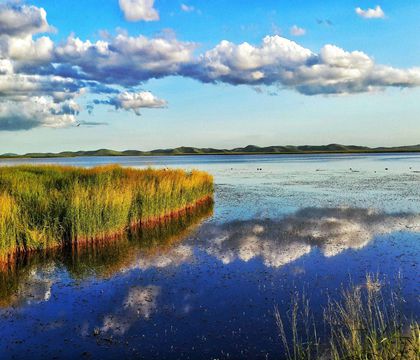 蘭州+天水+迭部+甘南+若爾蓋+碌曲+夏河7日6晚私家團