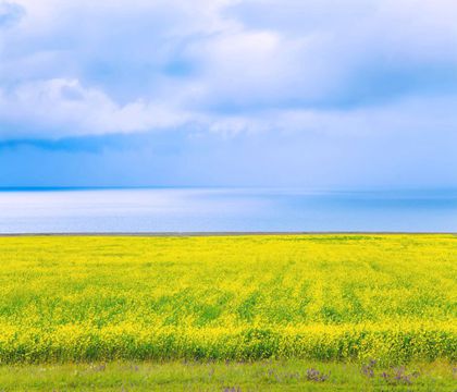青海西寧+塔爾寺+門(mén)源+祁連+青海湖5日4晚私家團(tuán)