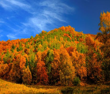 西寧+坎布拉國家森林公園一日游【上門接送/2-6人精品小團/純玩無購物】線路推薦