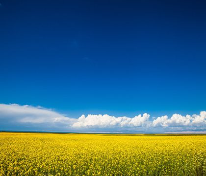 西寧+青海湖+拉薩+布達拉宮+林芝+大峽谷+納木措9日7晚跟團游