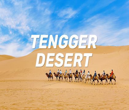 銀川+中衛6日5晚跟團游