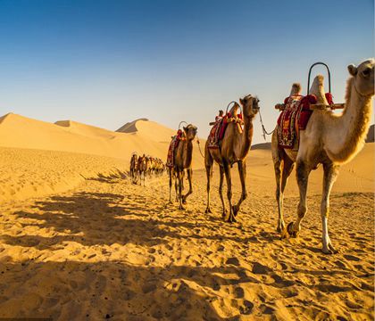 張掖七彩丹霞旅游景區+嘉峪關+莫高窟+鳴沙山月牙泉+丹霞口文旅小鎮+懸壁長城3日2晚私家團